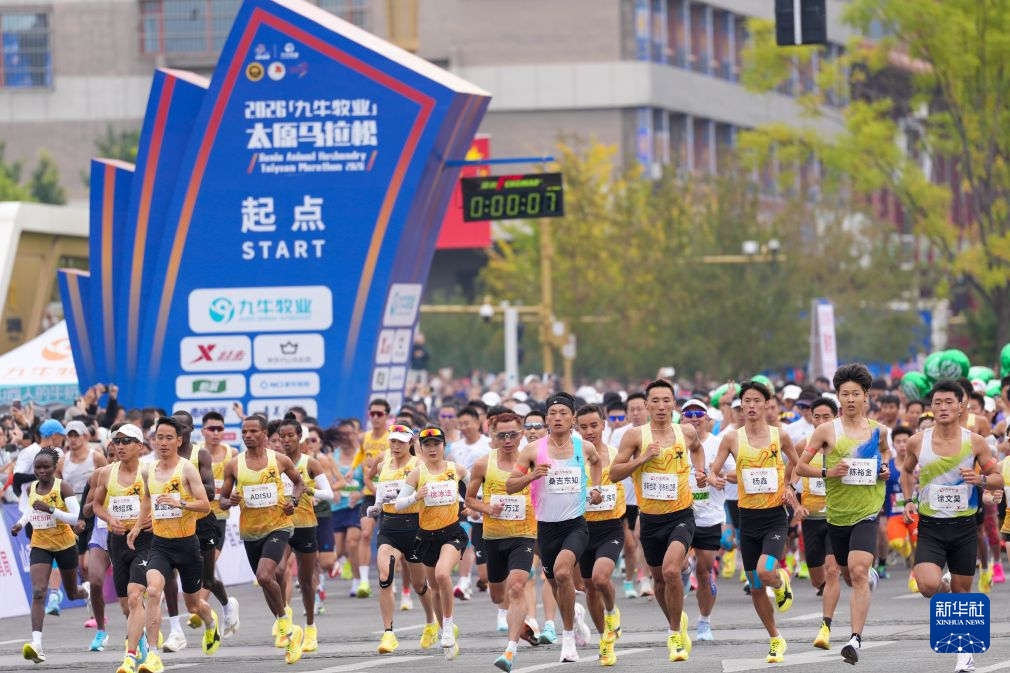 专业在大幅优化游戏引擎的前提下加入大量新颖元素。服务