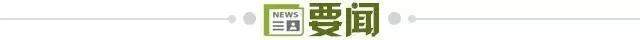 赏金船长官网介绍图片