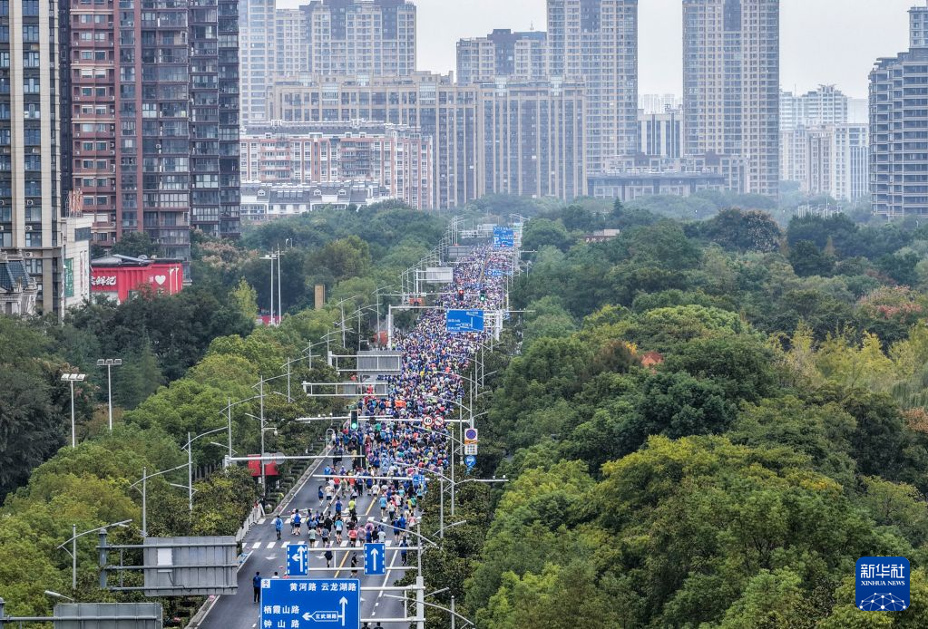 赏金船长官网相关图片
