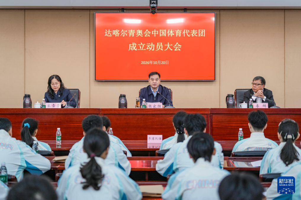 赏金船长官网相关图片