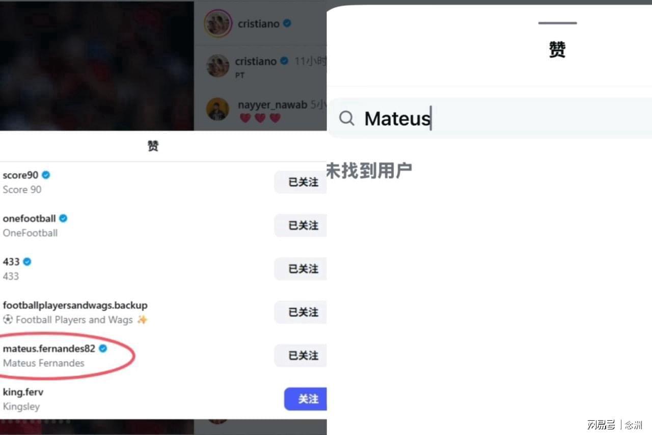 赏金船长官网图片展示