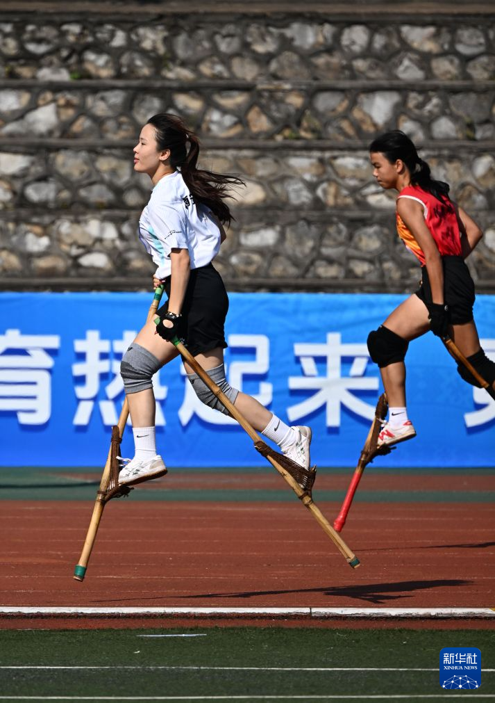 赏金船长官网介绍图片