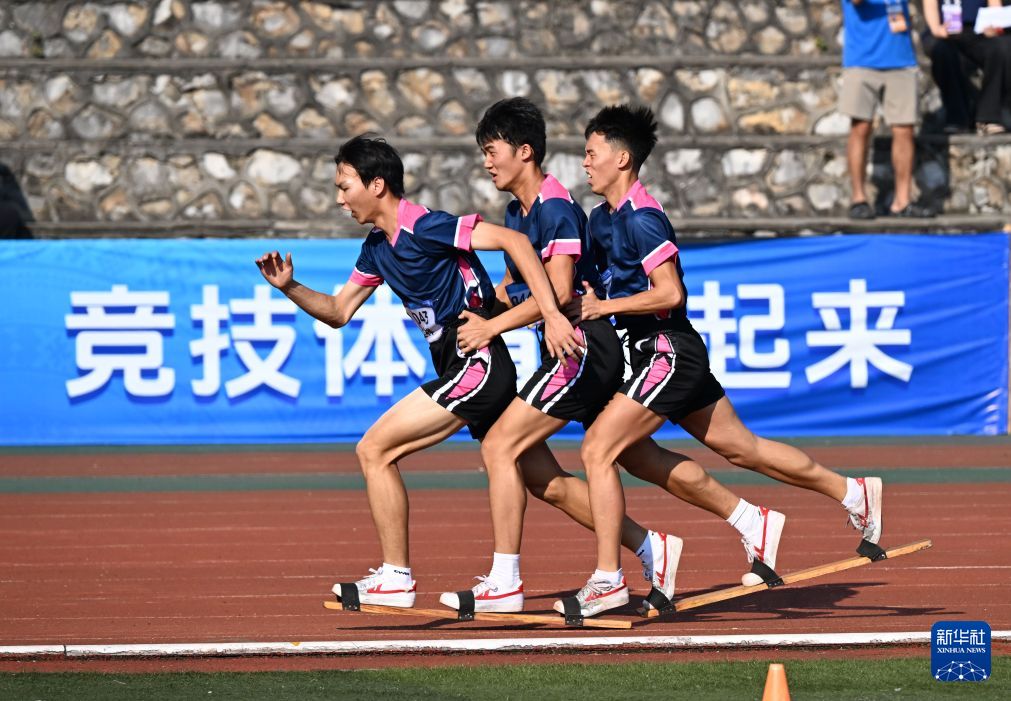 赏金船长官网介绍图片